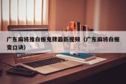 广东麻将推白板鬼牌最新视频（广东麻将白板变口诀）