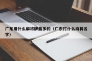 广东用什么麻将牌最多的（广东打什么麻将名字）