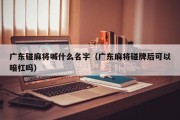 广东碰麻将喊什么名字（广东麻将碰牌后可以暗杠吗）