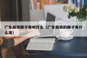 广东麻将赖子有叫什么（广东麻将的赖子有什么用）