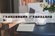 广东麻将从哪里起牌快（广东麻将怎么赢的最多）