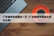 广东麻将东南西北一万（广东麻将东西南北有什么用）