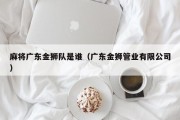 麻将广东金狮队是谁（广东金狮管业有限公司）