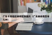 广东不同地区麻将区别图片（广东麻将类型有几种）