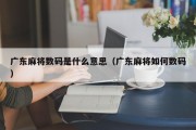 广东麻将数码是什么意思（广东麻将如何数码）