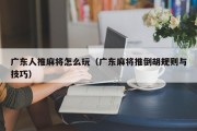 广东人推麻将怎么玩（广东麻将推倒胡规则与技巧）