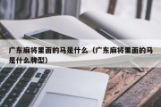 广东麻将里面的马是什么（广东麻将里面的马是什么牌型）