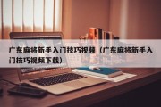 广东麻将新手入门技巧视频（广东麻将新手入门技巧视频下载）