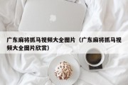 广东麻将抓马视频大全图片（广东麻将抓马视频大全图片欣赏）