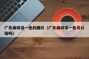 广东麻将混一色的图片（广东麻将混一色可以碰吗）