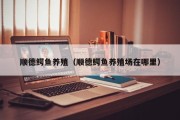 顺德鳄鱼养殖（顺德鳄鱼养殖场在哪里）