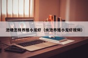 池塘怎样养殖小龙虾（水池养殖小龙虾视频）