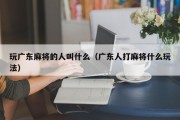 玩广东麻将的人叫什么（广东人打麻将什么玩法）