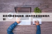 新农村养老保险制度（新农村养老保险制度内容）