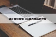 湖北林蛙养殖（林蛙养殖场地视频）