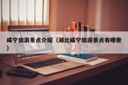 咸宁旅游景点介绍（湖北咸宁旅游景点有哪些）