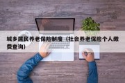 城乡居民养老保险制度（社会养老保险个人缴费查询）