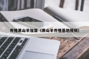 养殖黑山羊加盟（黑山羊养殖基地视频）