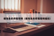 塘角鱼的养殖视频（塘角鱼的养殖视频播放）