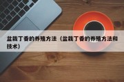 盆栽丁香的养殖方法（盆栽丁香的养殖方法和技术）