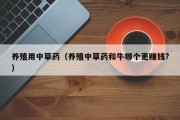 养殖用中草药（养殖中草药和牛哪个更赚钱?）