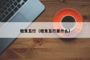 地支五行（地支五行属什么）