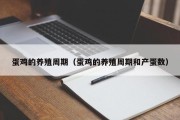 蛋鸡的养殖周期（蛋鸡的养殖周期和产蛋数）