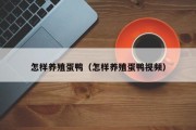 怎样养殖蛋鸭（怎样养殖蛋鸭视频）