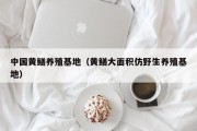 中国黄鳝养殖基地（黄鳝大面积仿野生养殖基地）