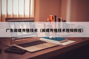 广东田螺养殖技术（田螺养殖技术视频教程）