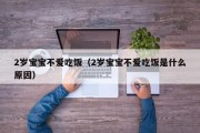 2岁宝宝不爱吃饭（2岁宝宝不爱吃饭是什么原因）