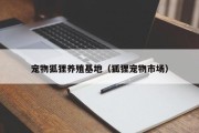 宠物狐狸养殖基地（狐狸宠物市场）