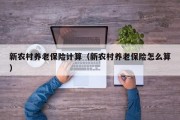 新农村养老保险计算（新农村养老保险怎么算）