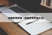 洞庭野鸭养殖（洞庭野鸭养殖方法）